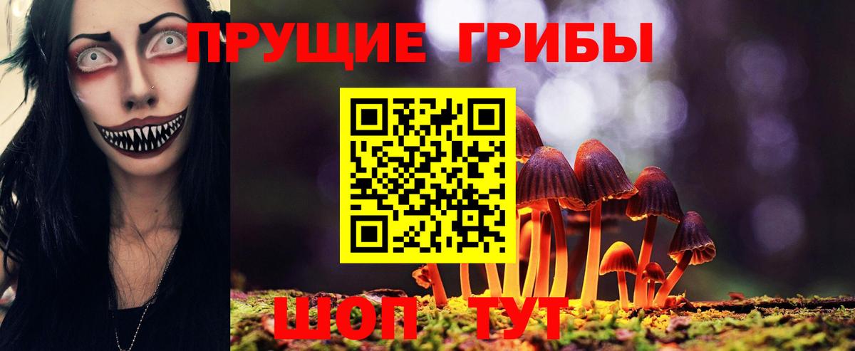 Галлюциногенные грибы Cubensis  Псилоцибиновые грибы Psilocybe  Вход с VPN  Прохладный 