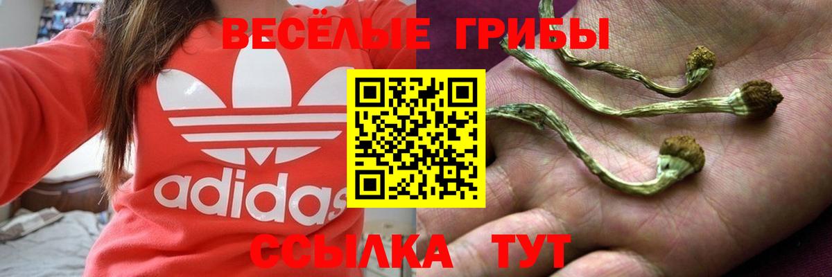 Псилоцибиновые грибы GOLDEN TEACHER Прохладный