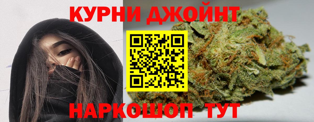 Каннабис план  Каннабис индика  Каннабис гибрид  Вход с VPN  Прохладный  Канабис LSD WEED 
